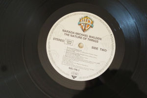 Narada Michael Walden The Nature of Things (Vinyl LP)