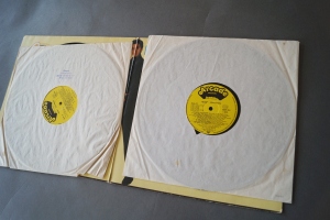 Elvis Seine 40 grössten Hits (Vinyl 2LP)