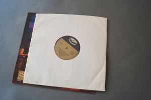 Procol Harum The Best of (Vinyl LP)