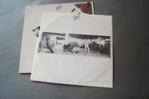 Opus Solo (Vinyl LP)