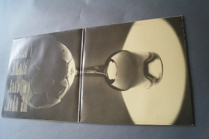 Rod Stewart The Best of (Vinyl 2LP)