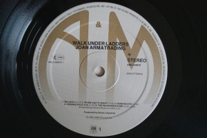 Joan Armatrading Walk under Ladders (Vinyl LP)
