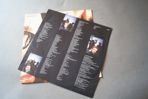 Jeremy Days The Jeremy Days (Vinyl LP)
