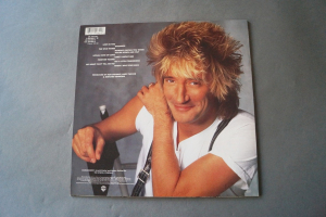 Rod Stewart Out of Order (Vinyl LP)