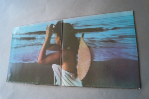 Linda Ronstadt Hasten down the Wind (Vinyl LP)