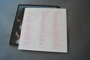 Linda Ronstadt Hasten down the Wind (Vinyl LP)