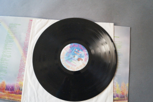 Prince Around the World in a Day (Vinyl LP)