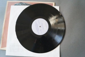 Elvis Rock-and-Roll (Balkanton Vinyl LP)