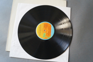 Spooky Tooth The Best of (Vinyl LP)