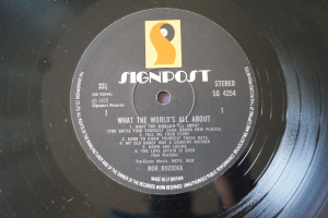 Bob Ruzicka What the World´s all about (Vinyl LP)