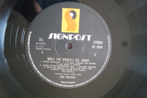 Bob Ruzicka What the World´s all about (Vinyl LP)