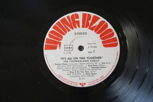 Youngblood Family It´s all on this together (Vinyl LP)