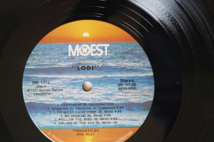 Lodi Lodi (Vinyl LP)
