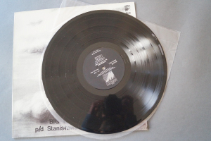 Big Warsaw Band The Best of George Gershwin (Vinyl LP)