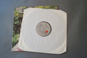 Audrey Landers Little River (Vinyl LP)