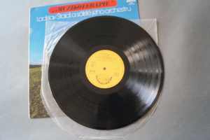 Ladislav Staidl Muzikoterapie 3 (Vinyl LP)