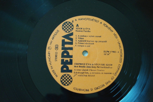 Adam es Eva Adam es Eva (Vinyl LP)