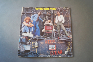 Who Who are You (Vinyl LP)