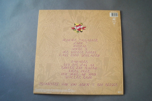 Rio Reiser Blinder Passagier (Vinyl LP)