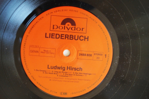 Ludwig Hirsch Liederbuch (Vinyl 2LP)