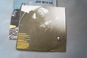Joe Walsh There goes the Neighborhood (Vinyl LP)