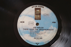 Joe Walsh There goes the Neighborhood (Vinyl LP)
