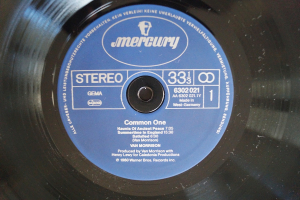 Van Morrison Common One (Vinyl LP)