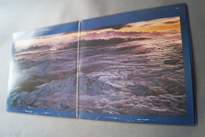 Santana Moonflower (Vinyl 2LP)