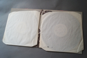 Eric Clapton The Early Clapton Collection (Vinyl 2LP)