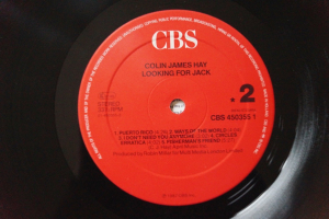 Colin James Hay Looking for Jack (Vinyl LP)