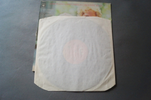 Simon and Garfunkel Greatest Hits (Vinyl LP)