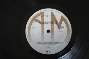 Joan Armatrading Walk under Ladders (Vinyl LP)