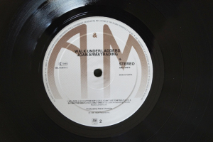 Joan Armatrading Walk under Ladders (Vinyl LP)