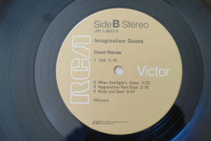 David Werner Imagination Quota (Vinyl LP)