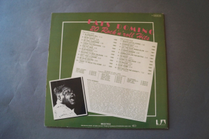 Fats Domino 20 Rock n Roll Hits (Vinyl LP)