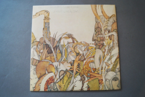 Jr. Walker & The All Stars Peace & Understanding is hard to find (Vinyl LP)