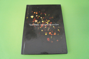 Snow Patrol A Hundred Million Suns (CD & DVD)