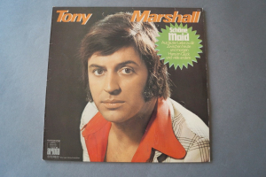 Tony Marshall Schöne Maid (Vinyl LP)