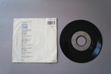 Danny Wilson The second Summer of Love (Vinyl Single 7inch)
