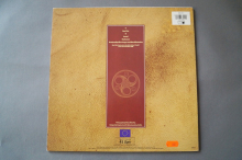 Hothouse Flowers Don´t go (Vinyl Maxi Single)
