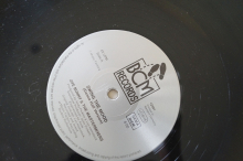 Jive Bunny Swing the Mood (Vinyl Maxi Single)