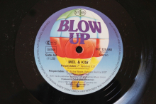 Mel & Kim Respectable (Vinyl Maxi Single)