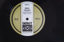 Mirage Into the Groove (Vinyl Maxi Single)