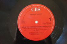 Gregory Abbott Shake you down (Vinyl Maxi Single)