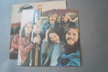 America Hearts (Vinyl LP)