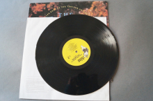 Turtles Turtle Wax (Best of Vol. 2) (Vinyl LP)