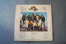 Doobies Best of (Vinyl LP)