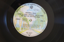 Grateful Dead What a Long Strange Trip... (Vinyl 2LP)