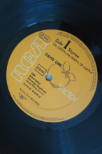 David Bowie David Live (Vinyl 2LP)