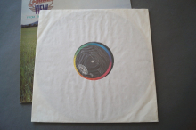 America View from the Ground (Vinyl LP)